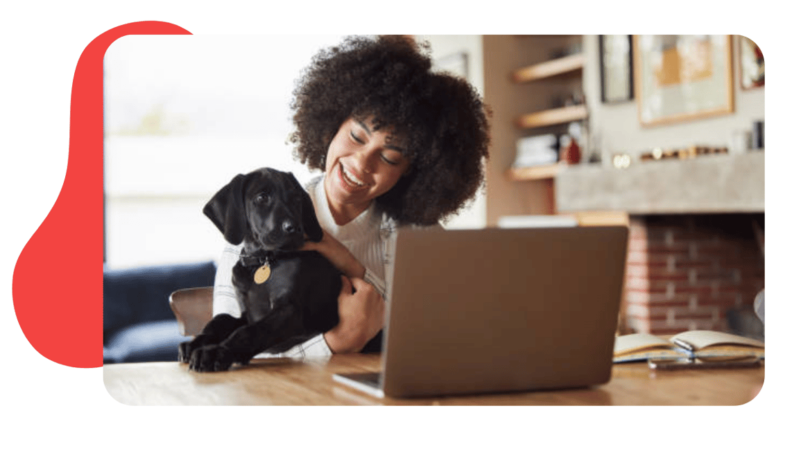 Pet Boarding Software